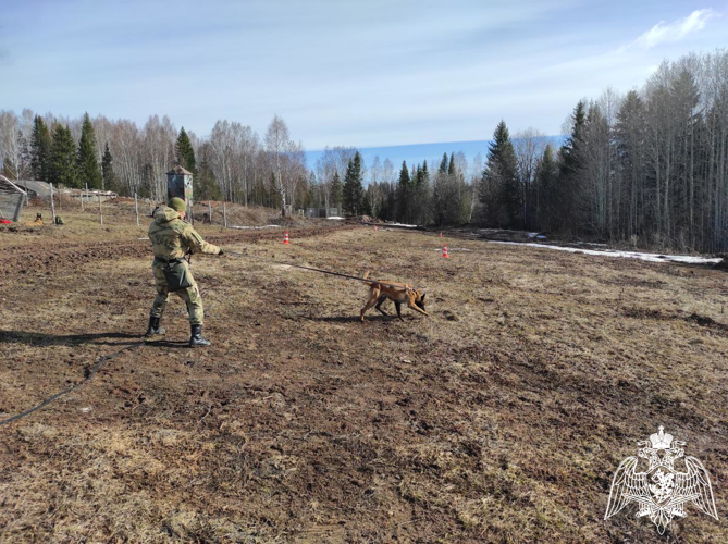 В Пермском военном институте состоялись учебно-методические сборы со специалистами-кинологами учебного комплекса факультета (кинологического) с закрепленными минно-розыскными собаками