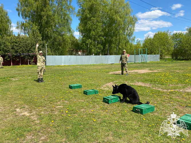 Военнослужащие учебного комплекса факультета (кинологического) Пермского военного института приняли участие в совместных учебно-методических сборах со специалистами-кинологами Приволжского округа войск национальной гвардии РФ