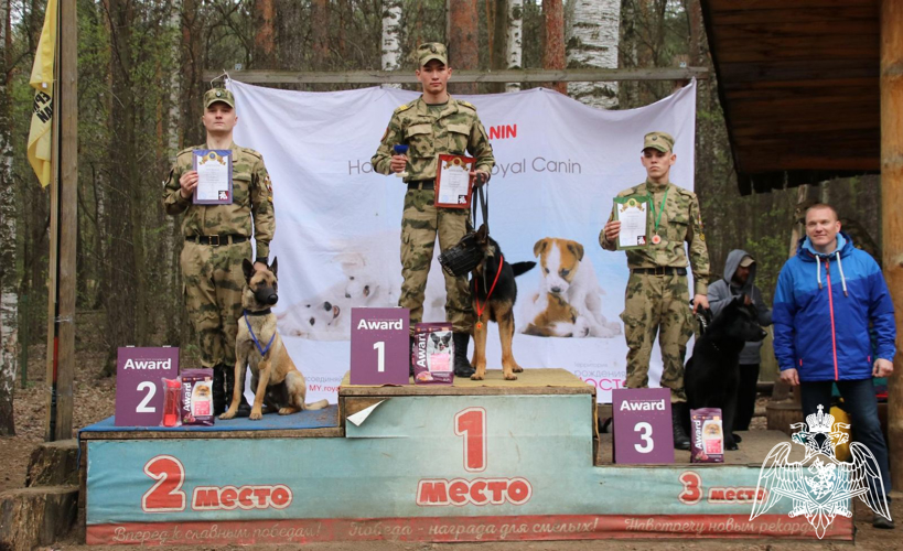 Курсанты кинологического факультета приняли участие в чемпионате России по Большому русскому рингу