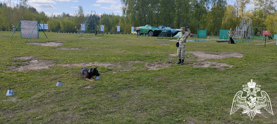 Военнослужащие учебного комплекса факультета (кинологического) Пермского военного института приняли участие в совместных учебно-методических сборах со специалистами-кинологами Приволжского округа войск национальной гвардии РФ