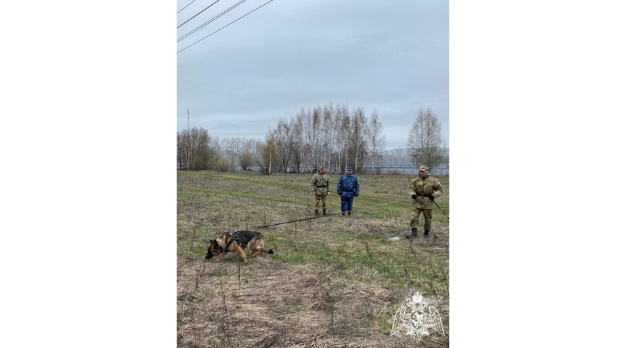 В Пермском военном институте состоялись учебно-методические сборы со специалистами-кинологами