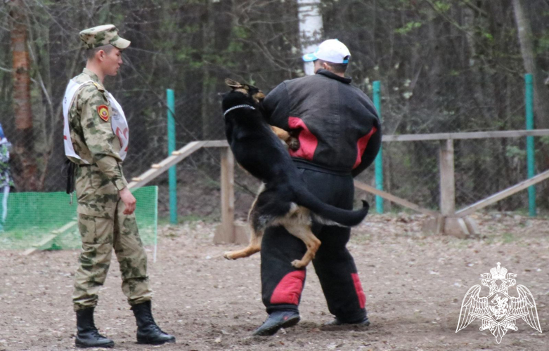 Курсанты кинологического факультета приняли участие в чемпионате России по Большому русскому рингу