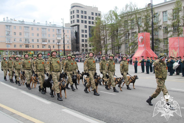 ВОЕННОСЛУЖАЩИЕ ПЕРМСКОГО ВОЕННОГО ИНСТИТУТА ВОЙСК НАЦИОНАЛЬНОЙ ГВАРДИИ РОССИЙСКОЙ ФЕДЕРАЦИИ ПРИНЯЛИ УЧАСТИЕ В ПАРАДЕ ПОБЕДЫ НА ОКТЯБРЬСКОЙ ПЛОЩАДИ ГОРОДА ПЕРМИ