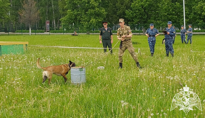 Курсанты кинологического факультета приняли участие в межведомственной олимпиаде по дрессировке служебных собак