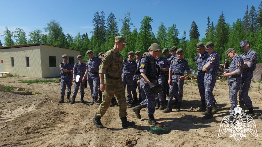 С кадетами 8 классов Пермского президентского кадетского училища имени Героя России Ф. Кузмьмина войск национальной гвардии Российской Федерации прошли учебно-полевые сборы на базе учебного центра Пермского военного института