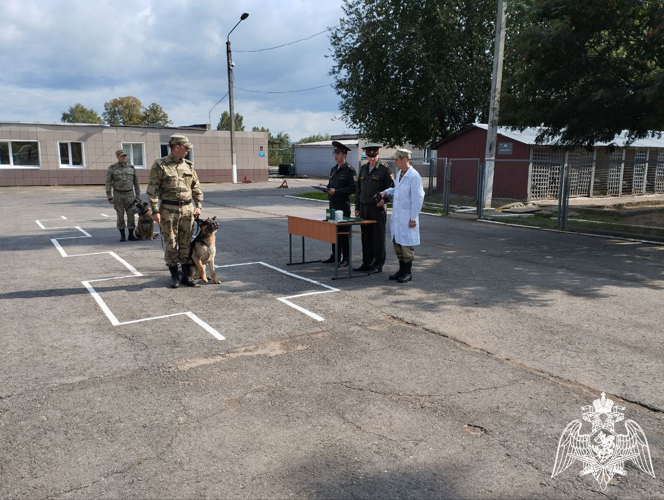 В Пермском военном институте проведена выводка служебных собак на факультете (кинологическом)