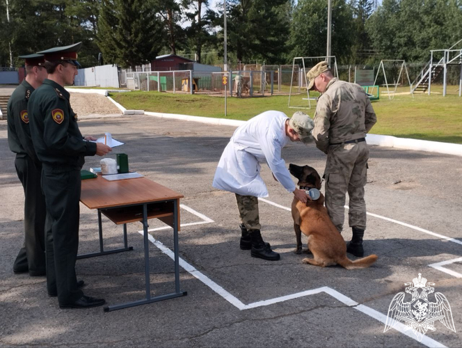 В Пермском военном институте проведена выводка служебных собак на факультете (кинологическом)