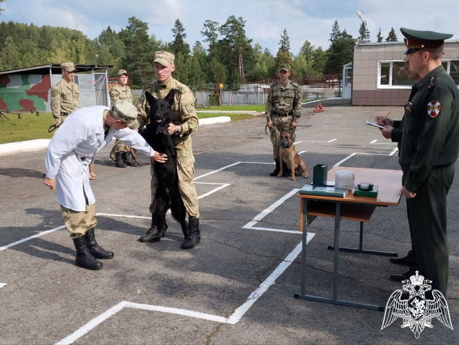 В Пермском военном институте проведена выводка служебных собак на факультете (кинологическом)