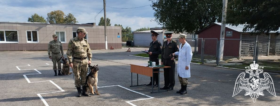 В Пермском военном институте проведена выводка служебных собак на факультете (кинологическом)