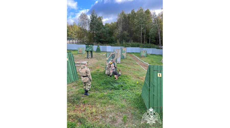 В Пермском военном институте состоялись учебно-методические сборы со специалистами-кинологами