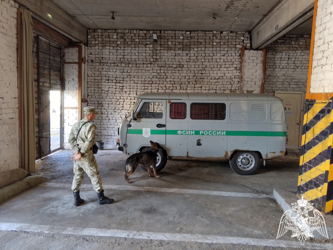 В Пермском военном институте состоялись учебно-методические сборы со специалистами-кинологами