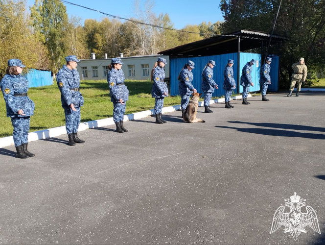В Пермском военном институте состоялись учебно-методические сборы со специалистами-кинологами