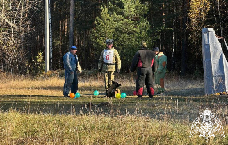 13 октября курсанты кинологического факультета приняли участие в городских соревнованиях по кинологическому спорту «Большой русский ринг» - Кубок Пермских дрессировщиков