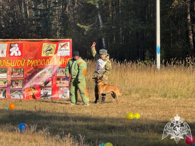 13 октября курсанты кинологического факультета приняли участие в городских соревнованиях по кинологическому спорту «Большой русский ринг» - Кубок Пермских дрессировщиков