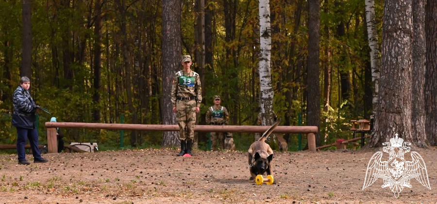 Курсанты факультета (кинологического) приняли участие в  соревнованиях по общему курсу дрессировки