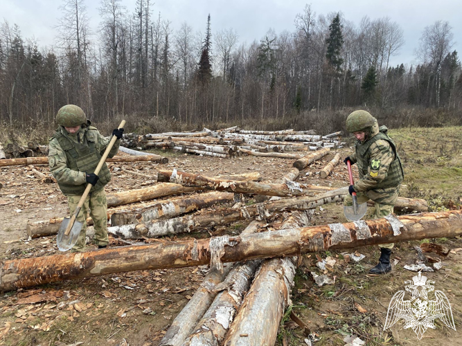 С курсантами Пермского военного института в рамках дисциплины «Военные дороги, мосты и переправы» проведено практическое занятие по изготовлению мостовых конструкций