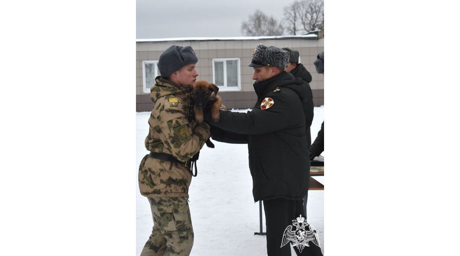 Курсантам второго курса факультета (кинологического) торжественно вручены щенки
