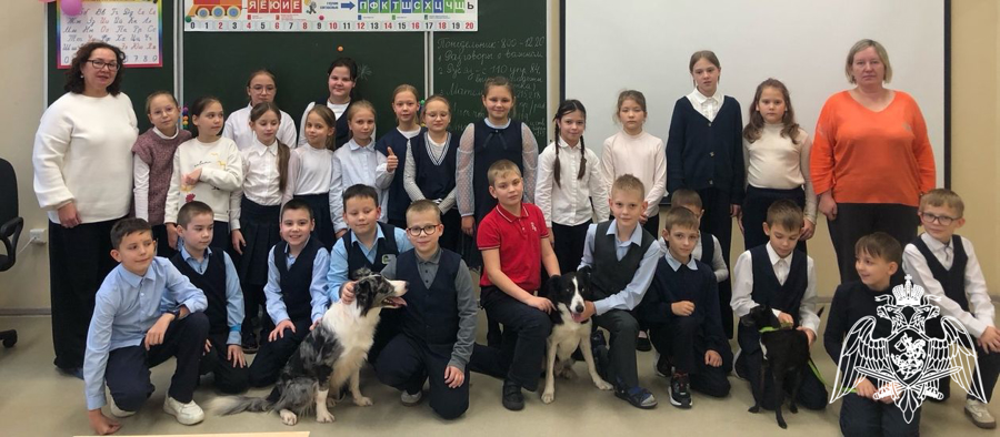 Преподаватели факультета (кинологического) провели урок по основам кинологии у учеников начальной школы гимназии № 3 города Перми