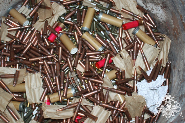 В военном институте проведено практическое занятие по теме «Уничтожение негодных и неразорвавшихся боеприпасов»