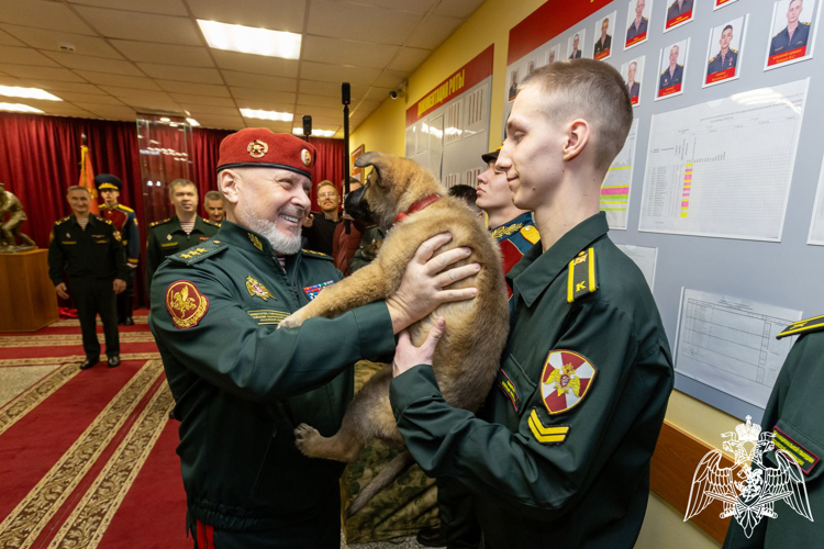 В Пермском военном институте Росгвардии впервые прошла торжественная церемония вручения щенков курсантам-кинологам