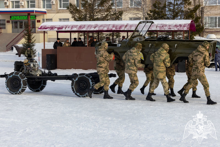 В Пермском военном институте Росгвардии впервые прошла торжественная церемония вручения щенков курсантам-кинологам