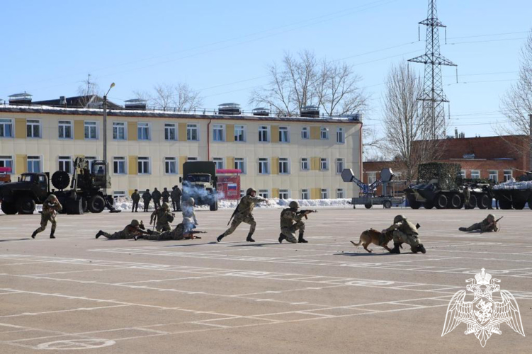 В Пермском военном институте состоялся День открытых дверей