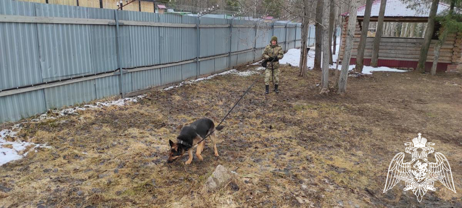 В Пермском военном институте состоялись учебно-методические сборы со специалистами-кинологами учебного комплекса факультета (кинологического) с закрепленными минно-розыскными собаками