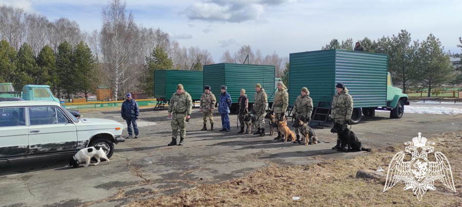 В Пермском военном институте состоялись учебно-методические сборы со специалистами-кинологами учебного комплекса факультета (кинологического) с закрепленными минно-розыскными собаками