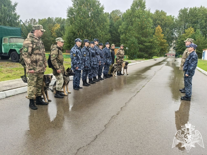 В Пермском военном институте состоялись учебно-методические сборы со специалистами-кинологами учебного комплекса факультета (кинологического) с закрепленными патрульно-розыскными собаками
