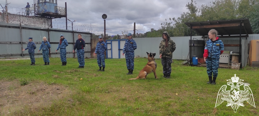 В Пермском военном институте состоялись учебно-методические сборы со специалистами-кинологами учебного комплекса факультета (кинологического) с закрепленными патрульно-розыскными собаками