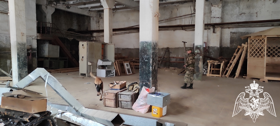 В Пермском военном институте состоялись учебно-методические сборы со специалистами-кинологами учебного комплекса факультета (кинологического) с закрепленными патрульно-розыскными собаками