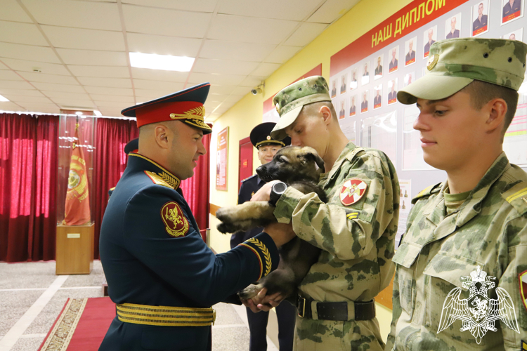 1 сентября в Пермском военном институте войск национальной гвардии Российской Федерации состоялось торжественное построение, посвящённое началу нового учебного года