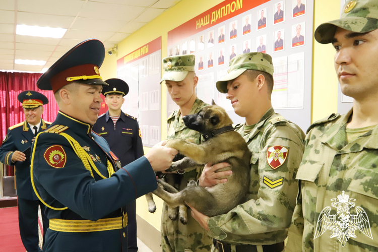 1 сентября в Пермском военном институте войск национальной гвардии Российской Федерации состоялось торжественное построение, посвящённое началу нового учебного года