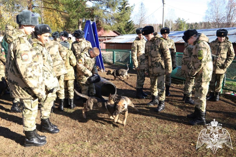 Пермский военный институт Росгвардии посетили кадеты Московского президентского кадетского училища имени М.А. Шолохова войск национальной гвардии Российской Федерации