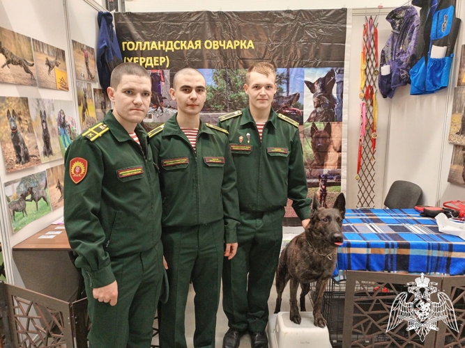 Курсанты факультета (кинологического) посетили кинологический фестиваль