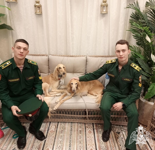 Курсанты факультета (кинологического) посетили кинологический фестиваль