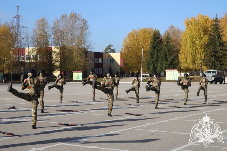 В Пермском военном институте прошел IV Слет подразделений регионального отделения детско-юношеского военно-патриотического движения «Гвардейская смена» Пермского края