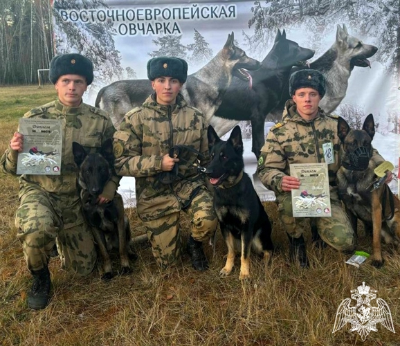 26 октября курсанты факультета (кинологического) приняли участие в городских соревнованиях по кинологическому спорту «Большой русский ринг» – Кубок Пермских дрессировщиков