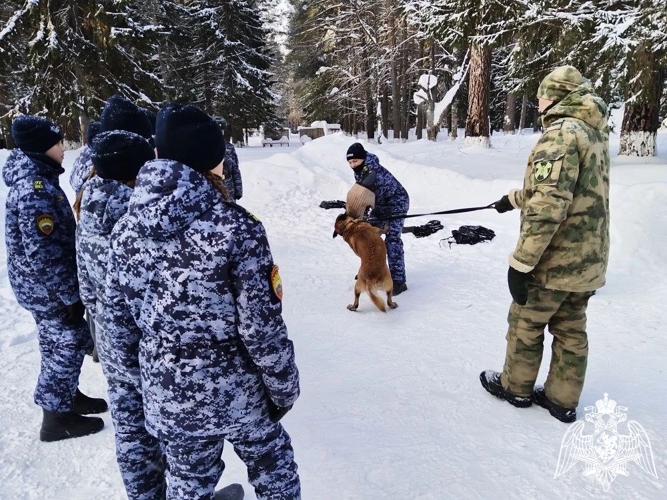 Педагогические работники и курсанты военного института приняли участие в проведении с кадетами Пермского президентского кадетского училища имени Героя России Ф. Кузьмина войск национальной гвардии Российской Федерации учебно-полевого выхода