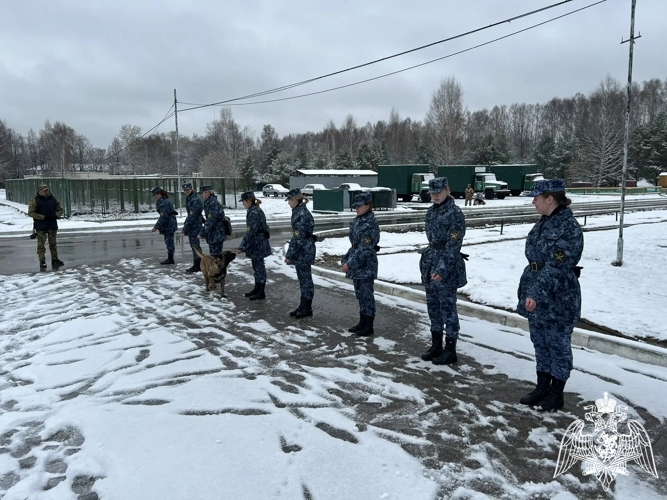 В Пермском военном институте состоялись учебно-методические сборы со специалистами-кинологами учебного комплекса факультета (кинологического) с закрепленными патрульно-розыскными собаками
