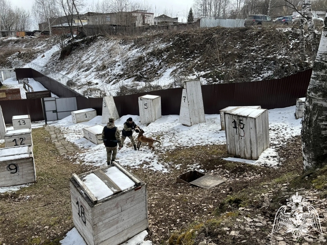 В Пермском военном институте состоялись учебно-методические сборы со специалистами-кинологами учебного комплекса факультета (кинологического) с закрепленными патрульно-розыскными собаками