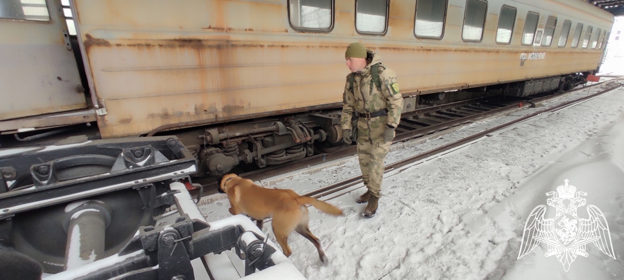 В Пермском военном институте состоялись учебно-методические сборы со специалистами-кинологами учебного комплекса факультета (кинологического) с закрепленными минно-розыскными собаками