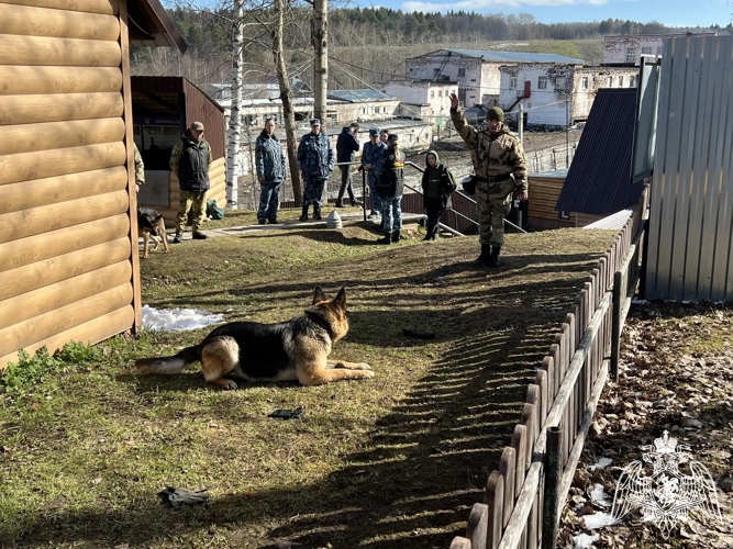 В Пермском военном институте состоялись учебно-методические сборы со специалистами-кинологами учебного комплекса факультета (кинологического) с закрепленными патрульно-розыскными собаками